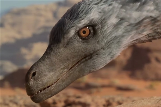 Meet Velociraptor! Children's Dinosaur Workshop